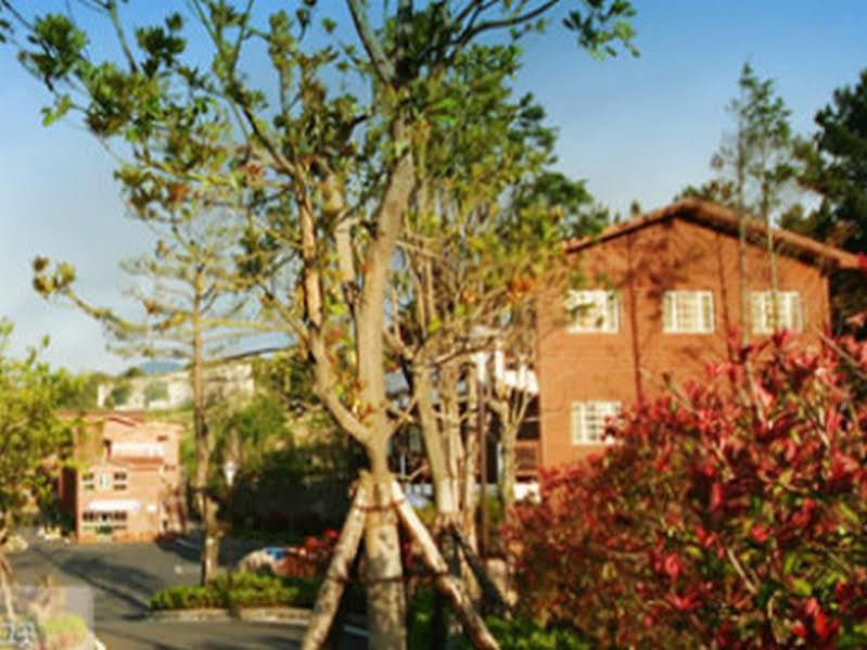 Arbon Youth Hostel & Resort Jeju Luaran gambar